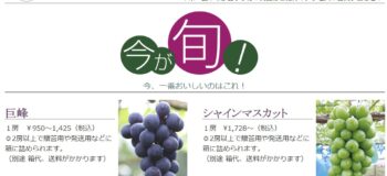 香取市のブドウ狩り3