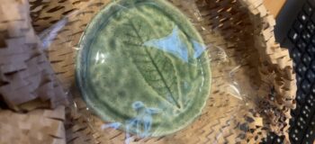 250922オーストラリアVidiファミリー