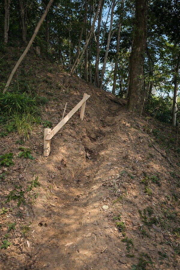 2026年1月19日 裏山小道つくり